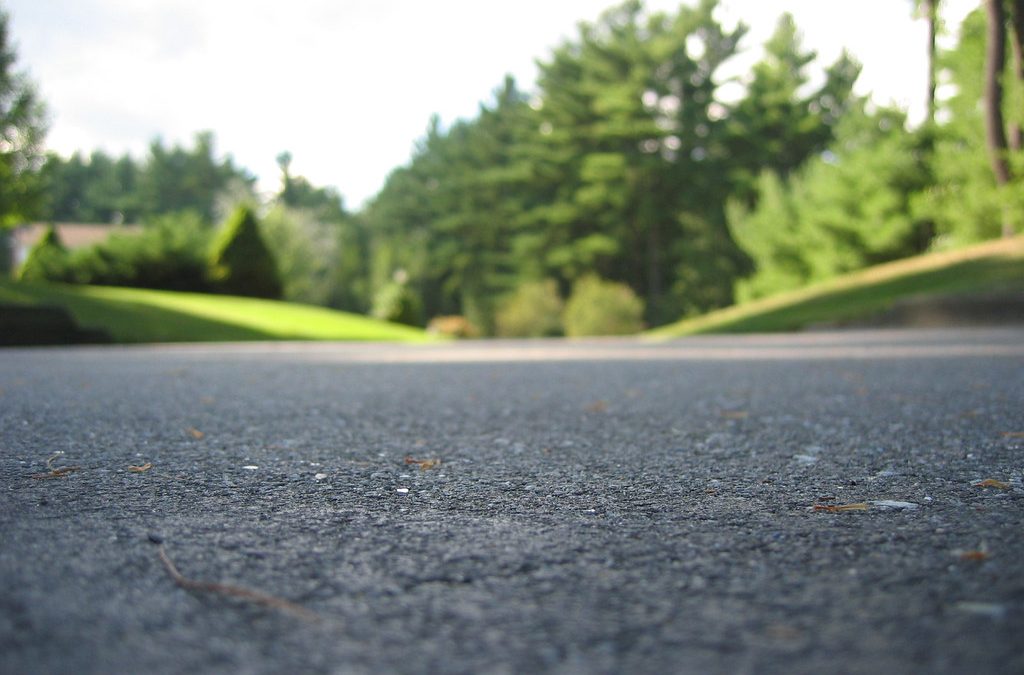 Close-up of a quiet, tree-lined residential driveway with a low perspective that focuses on the road surface. Forest in the background.